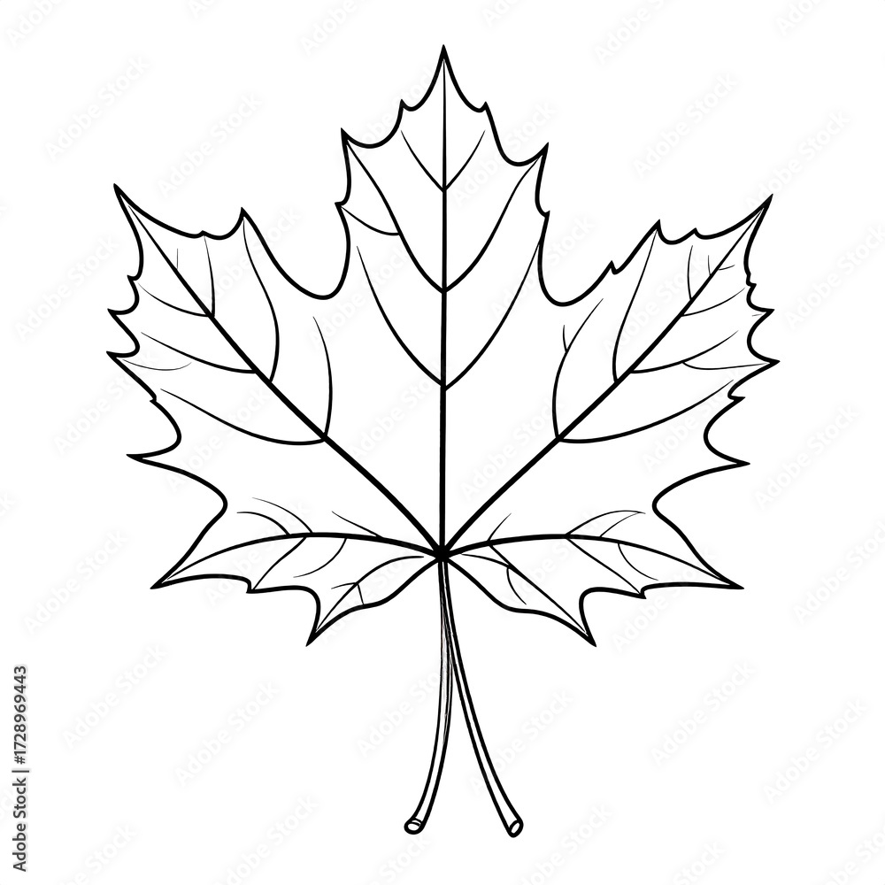 Fototapeta premium Maple Leaf Outline for Coloring