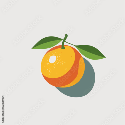 Orange fruit with leaves and shadow on a light background  