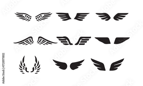 black wings badge set. Bird wings, angel wings elements. Aviation pilot patch badge. Heraldic vintage army insignia emblem falcon phoenix hawk. vector illustration eps 10