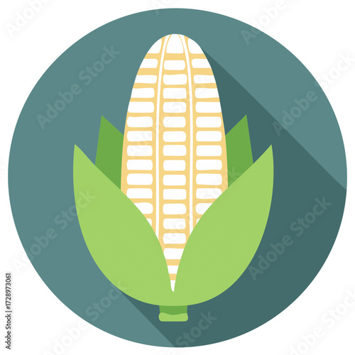 Flat design illustration of a fresh yellow corn cob with green husks in a circle