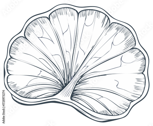 Detailed monochrome line art of a segmented fruit wedge with distinctive rind