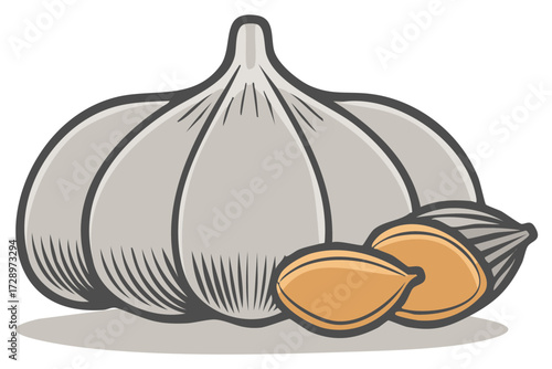 Garlic bulb and cloves illustration vector drawing vegetable cuisine flavorful ingredient cooking