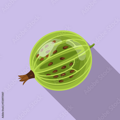 A vibrant illustration of a single, green gooseberry with visible seeds and shadow.