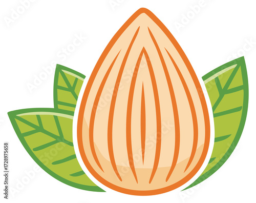 Almond Icon Graphic with Leaves Vector Design Illustration