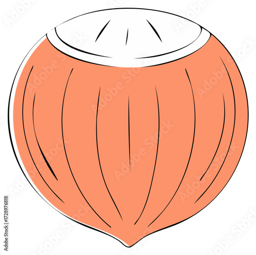 Stylized Drawing of a Single Hazelnut with a Smooth White Top