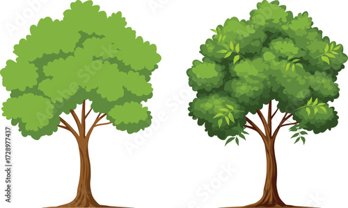 Stylized and natural tree canopy comparison with green foliage and brown trunks, botanical illustration for nature, design, and educational themes