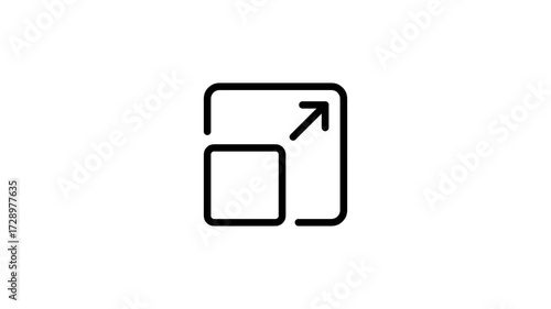 Zoom icon animation. Expand icon. Icon animation. 