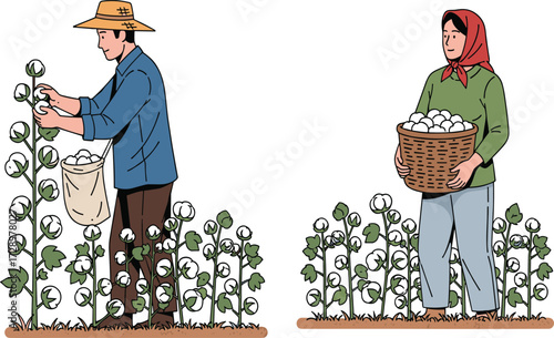 Man and woman harvesting cotton, traditional farming, rural agriculture, workers picking cotton field, basket collection, natural fiber crop, farming lifestyle illustration