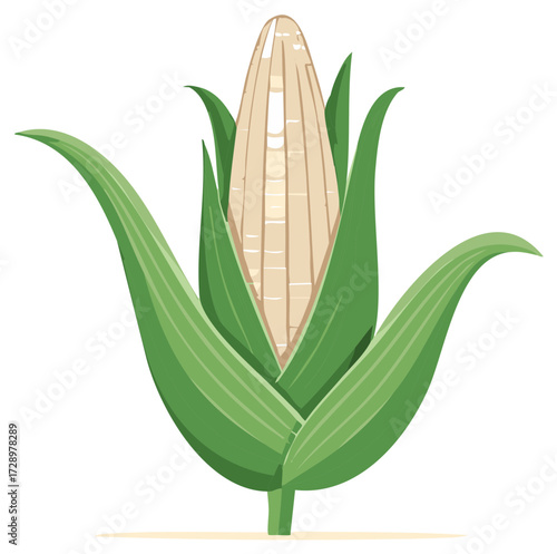 Stylized illustration of corn on the cob, surrounded by green leaves.