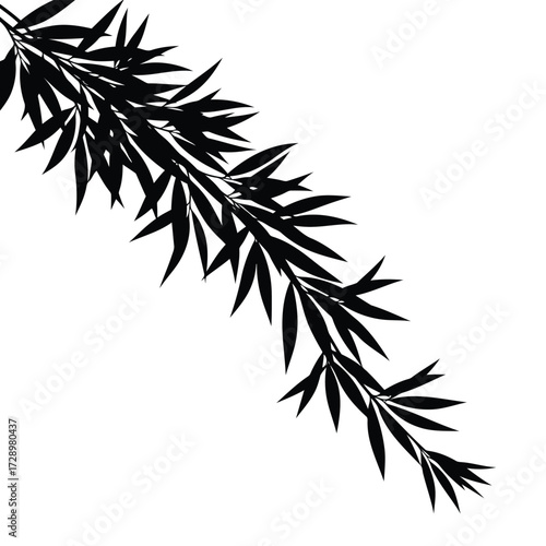Vector illustration of black silhouette of a bamboo branch