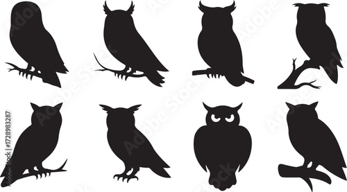 Cute funny silhouette vector set of various Owl birds illustration. owl icon set.