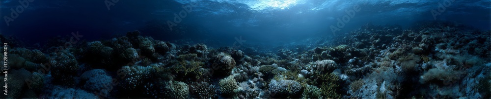 Obraz premium Exported underwater coral reef ecosystem hdri panoramic 360-degree view