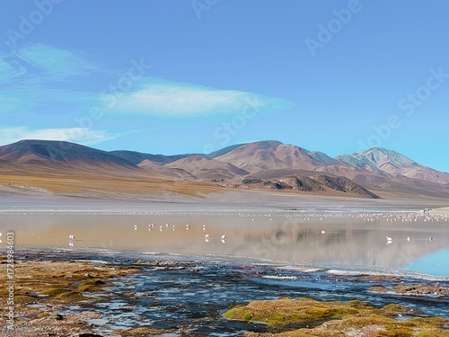 Laguna Grande y flamencos