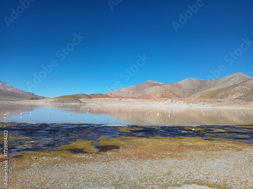 Laguna Grande y flamencos