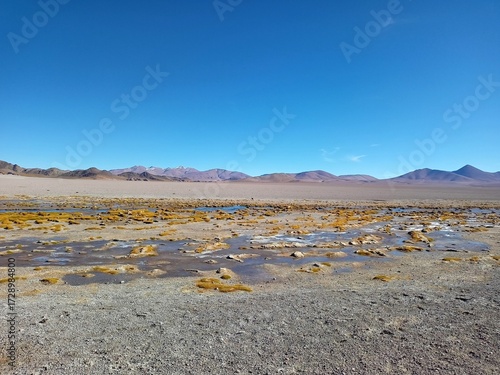 Laguna Grande y flamencos