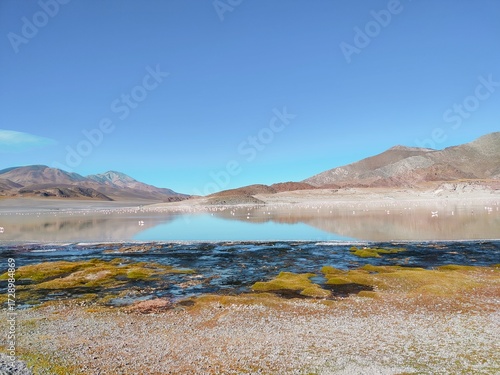 Laguna Grande y flamencos