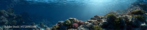 Wallpaper Mural Vibrant coral reef ecosystem hdri panoramic underwater exploration Torontodigital.ca