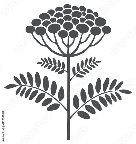 Stylized illustration of a flowering plant with leaves and blossom clusters