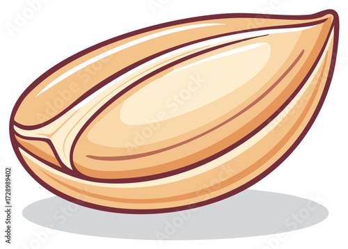 Peanut illustration with light brown colors and cartoonish style, single nut with dark red outline