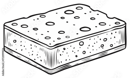 Detailed black and white illustration of a textured porous sponge