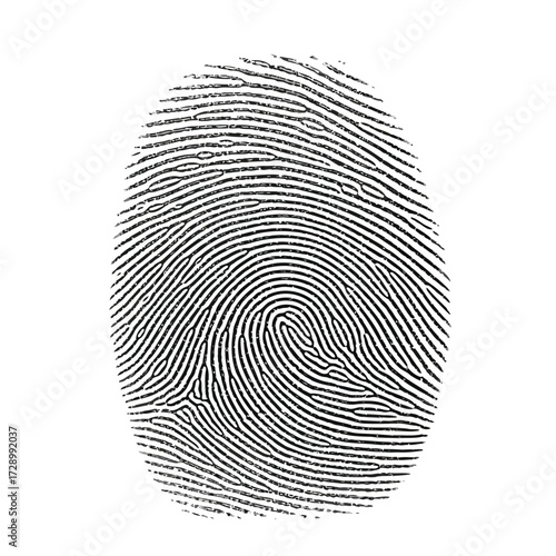 Vector illustration of fingerprint with whorl pattern