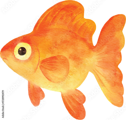 Colorful watercolor illustration of Goldfish
