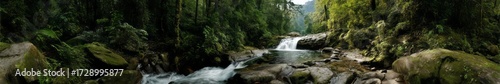 Lush rainforest waterfall panorama hdri exported viewpoint in nature environment