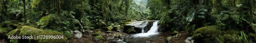 Lush rainforest waterfall tropical jungle hdr panoramic view vibrant greenery nature concept