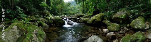 Lush rainforest waterfall export hdri panoramic environment map 360-degree viewpoint