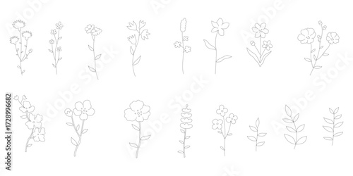 flower set in hand drawn style, decorative botanical illustration