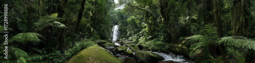 Exported waterfall in lush rainforest hdri panoramic viewpoint nature environment