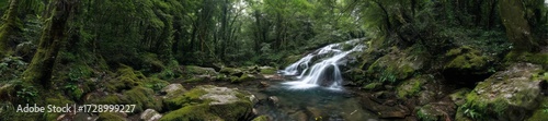 Lush rainforest waterfall exported hdri panoramic environment map 360-degree viewpoint