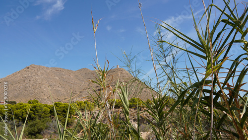 Torreones de Vigilancia costera del siglo XVI de España , Alicante
