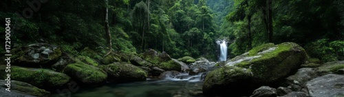 Lush rainforest waterfall hdri panoramic view nature scene serene environment 360-degree perspective