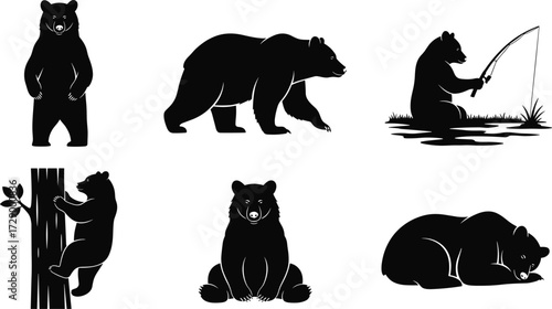Bear silhouette collection, wild animal poses, fishing bear, sleeping bear, climbing bear, sitting bear, walking bear, forest wildlife illustration, nature mammal design, vector art set