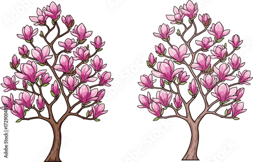 Two flowering magnolia trees with pink blossoms and green foliage, botanical vector for nature, seasonal change, and educational comparison themes