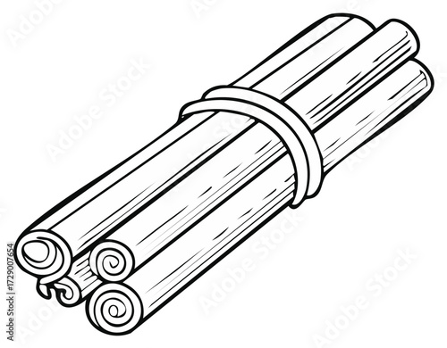 Sketch of cinnamon sticks tied with band isolated illustration