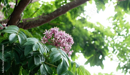 Delicate pink blossoms cluster on lush green foliage, a spiderweb spans the sunlight-drenched background.