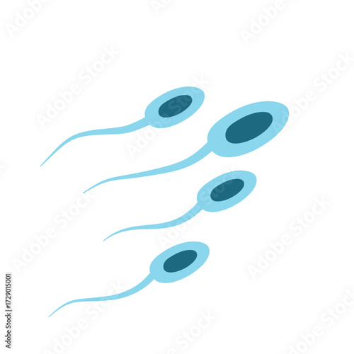 Illustration of Sperm Cells