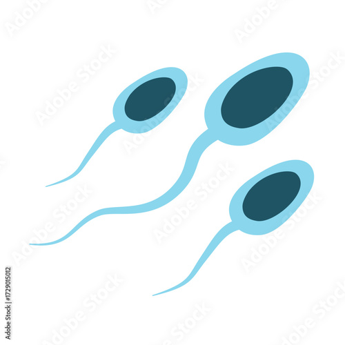 Illustration of Sperm Cells