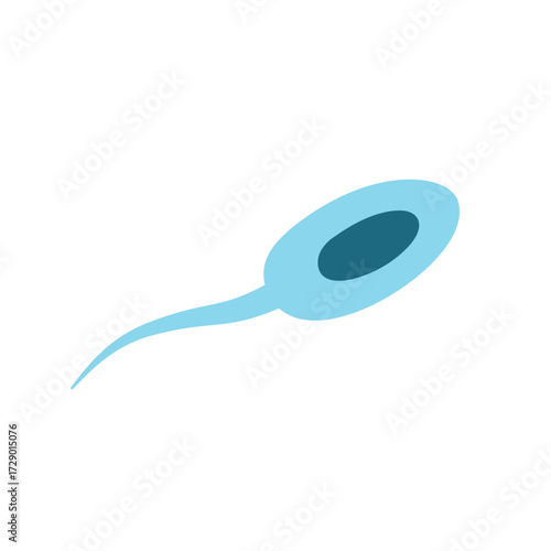 Illustration of Sperm Cells