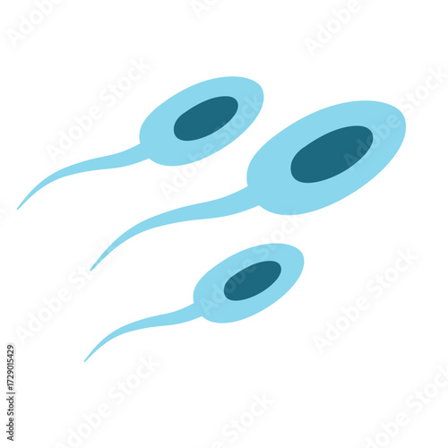Illustration of Sperm Cells