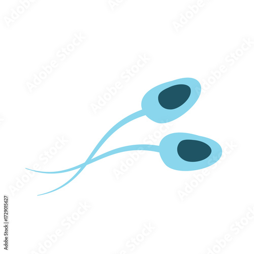 Illustration of Sperm Cells