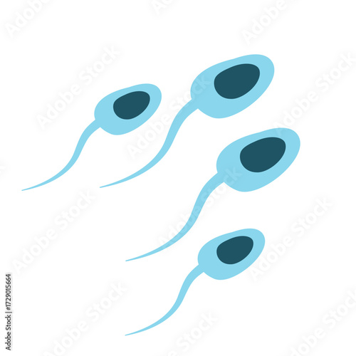 Illustration of Sperm Cells