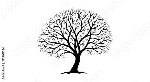 A stylized black tree with bare branches and curly ends on a white background illustration art