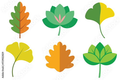  Vector illustration  autumn leaves