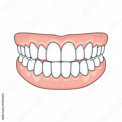Graphic Illustration of Healthy Human Teeth and Gums, Ideal for Educational Material or a Fun Halloween Dental Theme Concept