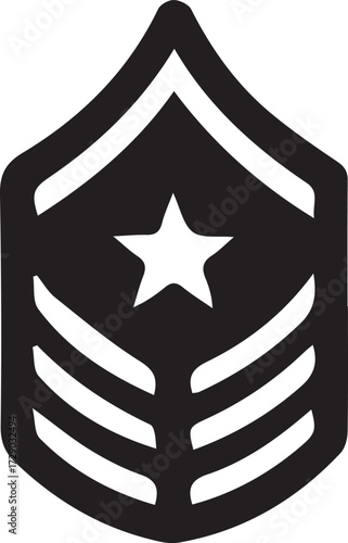 Vector art  of military rank insignia for identification
