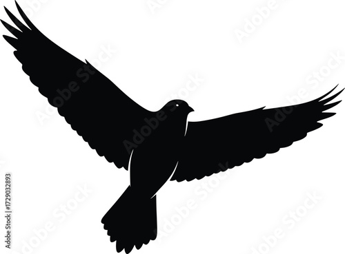 Bird in flight silhouette vector with extended wings, fanned tail feathers, and dynamic pose for nature, freedom, and wildlife themes