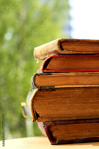 Wallpaper Mural Old Books Torontodigital.ca